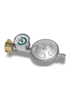 Gas Pressure Regulator