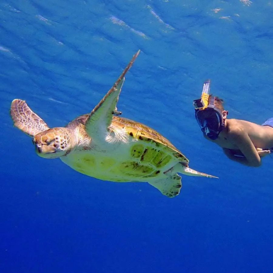 Ocean Reef Aria QR  Full Face Snorkel Mask