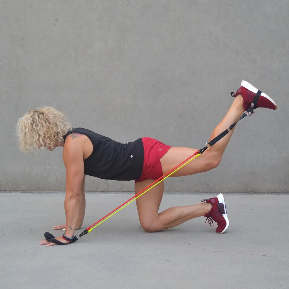 RESISTANCE BAND SYSTEM | (2) Handles, (2) Foot Straps, (2) Long Loop Straps, (6) Resistance Bands & Mesh Bag